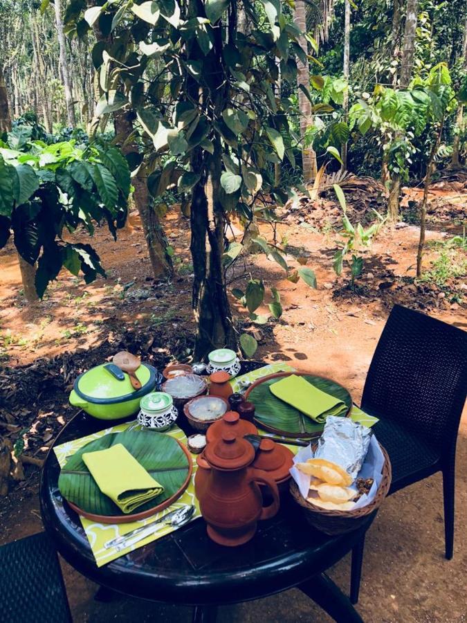 Kerala Wild Stay Kanthalloor Eksteriør bilde